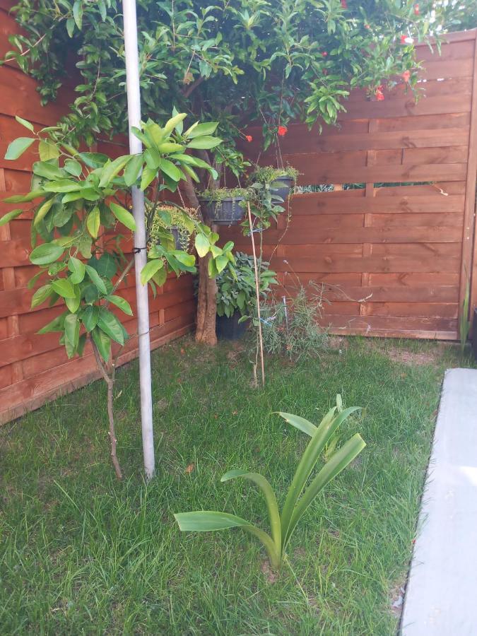 Apartman Nika Ražanac Dış mekan fotoğraf